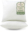 Ashler Throw Pillows Insert- 20x20 Pillow Inserts with Air Layer, Premium Bed and Couch Pillows - Indoor Decorative Throw Pillow, Square Cushion Sham Stuffer, Pack of 2, White