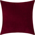 Jeneoo Santa Red Decorative Throw Pillow Covers Soft Chenille Comfy Square Couch Cushion Cases for Living Room Sofa Decor (Set of 1, 24 x 24 Inches)