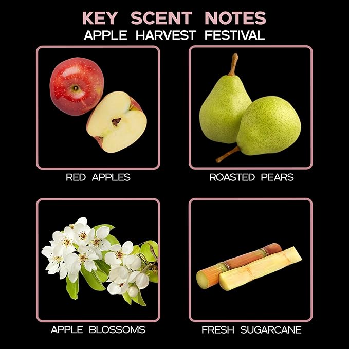 LOVSPA Reed Diffuser Set, Apple Harvest Scented Oil Diffuser with Sticks, Home Fragrance Accessories for Bathroom Shelf Decor, Aroma Diffusers for Home or Office Fall Decor, USA Made