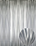 GOER 3.2 ft x 8.2 ft Metallic Tinsel Foil Fringe Curtains Party Photo Backdrop Party Streamers for Birthday,Graduation,New Year Eve Decorations Wedding Decor (5 Pcs,Matte Silver,Thick Material)