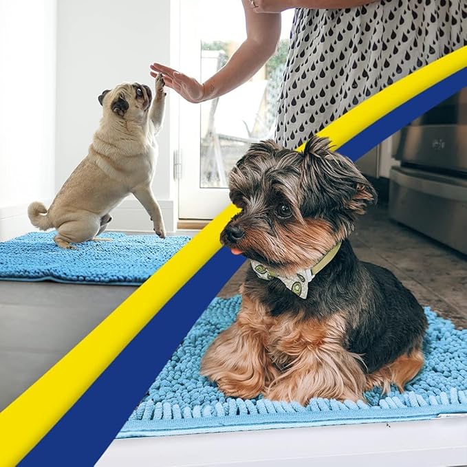 Muddy Mat® | Super Absorbent Door Mat Indoor, Microfiber Quick Dry Chenille Entryway Rug, Non-Slip Front Door Mat, Indoor Mats for Entryway, Machine Washable Pet Rug, Sky Blue 36"x60"