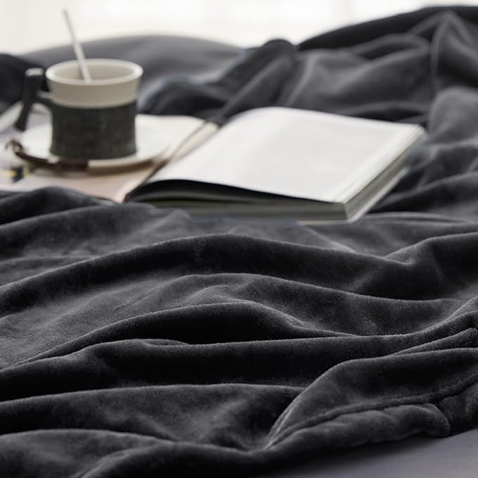 Bedsure GentleSoft Fleece Blanket Twin Size Dark Grey - 300GSM Lightweight Plush Fuzzy Cozy Soft Warm Blanket for Bed, Sofa, Couch, Travel, Camping, 60x80 inches