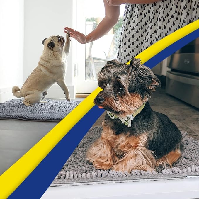 Muddy Mat® | Super Absorbent Door Mat Indoor, Microfiber Quick Dry Chenille Entryway Rug, Non-Slip Front Door Mat, Indoor Mats for Entryway, Machine Washable Pet Rug, Grey 24"x36"