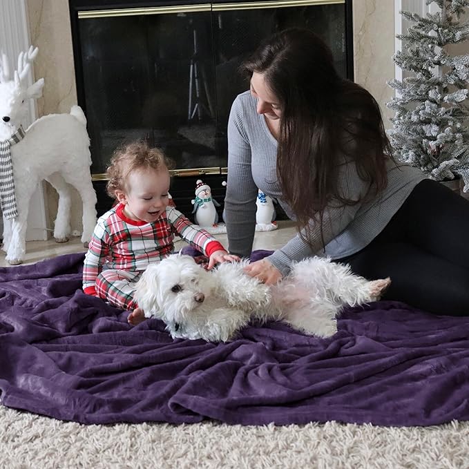 Bedsure GentleSoft Fleece Throw Blanket Purple - 300GSM Blankets for Couch, Sofa, Bed, Soft Lightweight Plush Cozy Throws for Toddlers, 50x60 inches