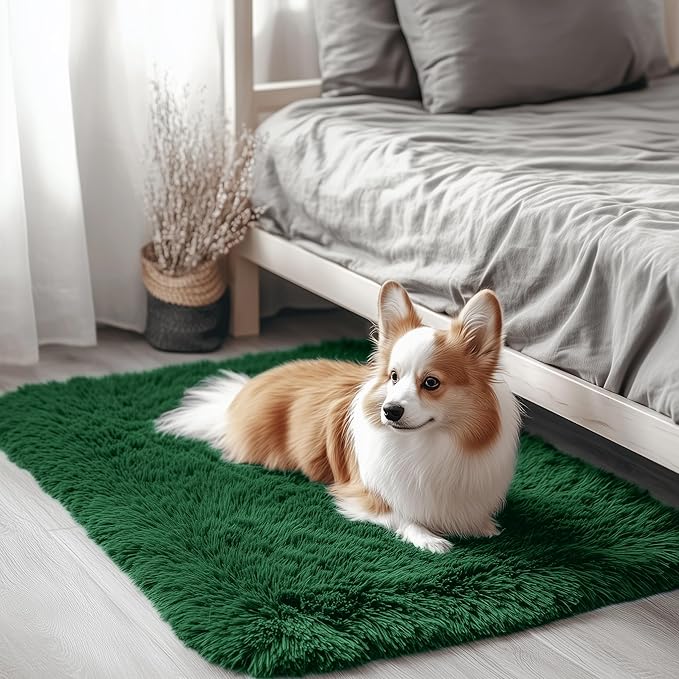 OLANLY 2x3 Machine Washable Small Bedside Rug, Soft Fluffy Shaggy Entryway Throw Rugs for Bedroom, Living Room, Indoor Floor Carpet for Kids Girls Boy, Nursery Rooms, Home Decor Aesthetic, Dark Green