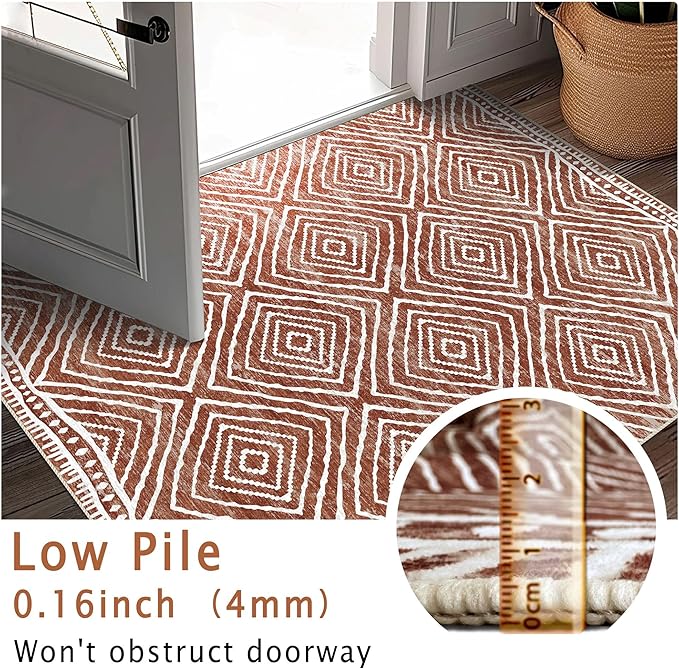3x5 Rug, Small Area Rug for Living Room, Bedroom, Kitchen, Machine Washable Non-Slip Throw Rug, Low Pile Carpet Western Rug for Entryway Nursery Coffee Table, Brown Red