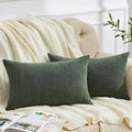 GAWAMAY Decorative Rectangle Throw Pillow Covers Lumbar Support Pillow 12"x20" Inch Set of 2, Soft Chenille Pillowcase for Living Room Bedroom Sofa Couch Cushion Cover Dark Green 30x50cm (No Insert)