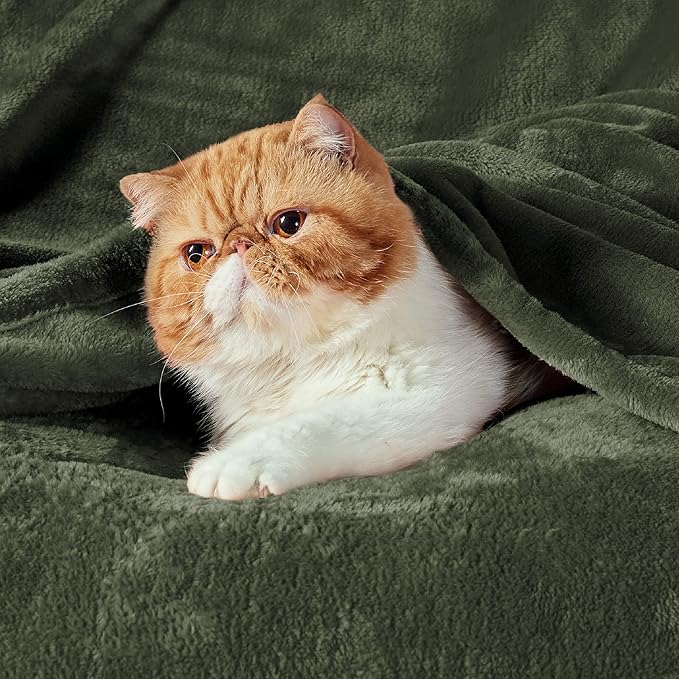 Bedsure Fleece Blanket Queen Blanket Olive Green - Bed Blanket Soft Lightweight Plush Fuzzy Cozy Luxury Microfiber, 90x90 inches