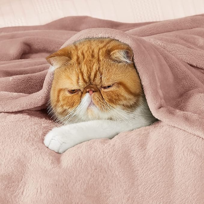 Bedsure GentleSoft Fleece Throw XL Blanket Dusty Pink - 300GSM Soft Lightweight Plush Cozy Blankets for Bed, Sofa, Couch, Travel, Camping, 50x70 inches