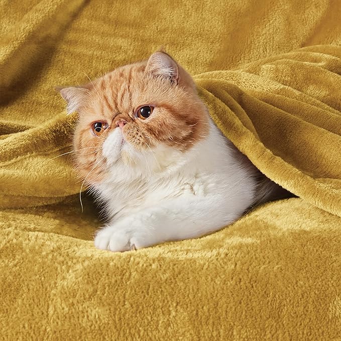 Bedsure GentleSoft Fleece Throw XL Blanket Yellow - 300GSM Soft Lightweight Plush Cozy Blankets for Bed, Sofa, Couch, Travel, Camping, 50x70 inches