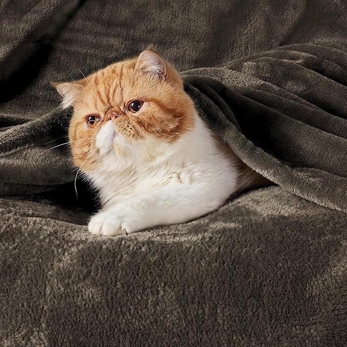 Bedsure GentleSoft Fleece Blankets Queen Size Brown - Bed Blanket Soft Lightweight Plush Fuzzy Cozy Luxury Microfiber, 90x90 inches