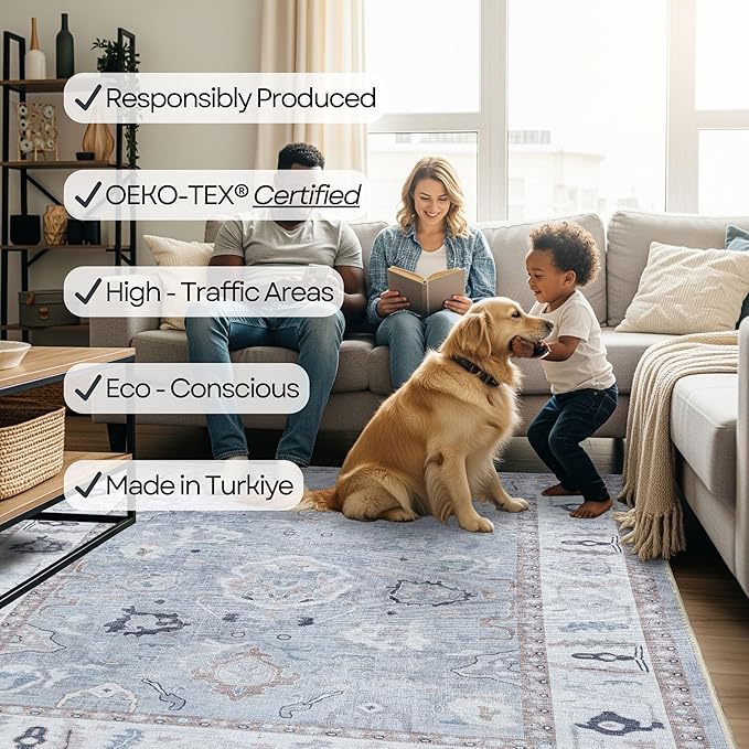 Fame Rugs Gray Modern Oushak Rug 3x5, Washable Vintage Turkish Colorful Oriental Antique Inspired Foldable Small Area Rugs, Luxury Living Room Bedroom (Gbeige, 2'6" x 5')